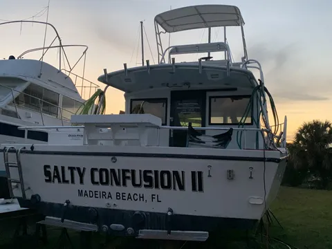 Salty Confusion C8, photo 1 of 1