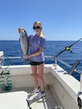 Nice Amberjack
