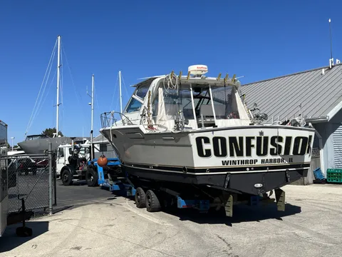 C1 Confusion, photo 5 of 8