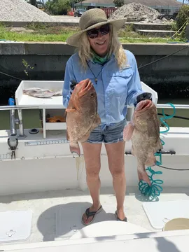 Red Groupers