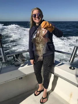 Red Grouper