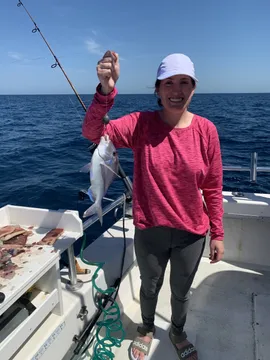 Nice Porgy